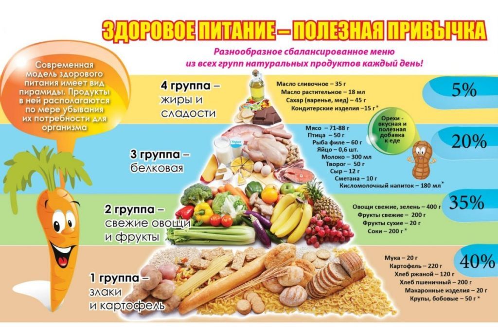 Здоровое питание - полезная привычка